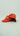 Casquette "GOD'S WILL"